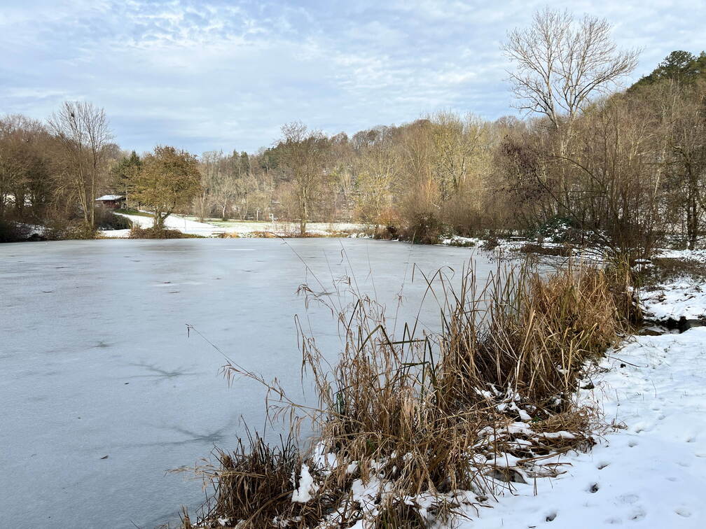 22-12-19 13-02-31 3631